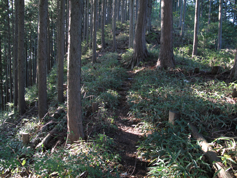 20171026hike (345)